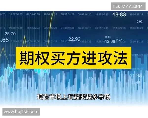 探讨FPX战术体系中的区域防守策略与实战应用分析实时新闻